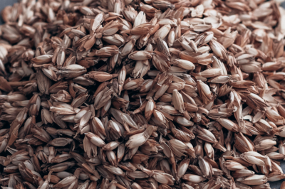 Detailaufname Bio Dinkelspelz für Fau Wolles Kissen